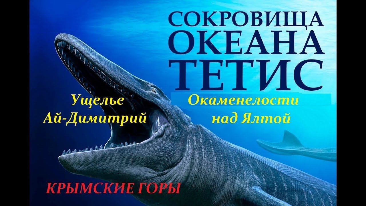 Ущелье Ай-Димитрий. Окаменелости Заячьих полян