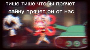 морские свинки: хрумка ночью