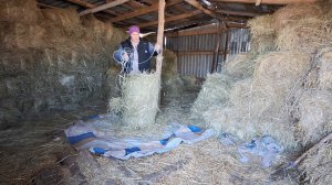 Чищу...вожу...Управляюсь по хозяйству. Мои будни.