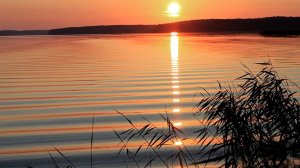 Пусть вновь Душа откроется Любви!