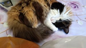 Кому живётся хорошо