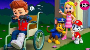 Щенячий патруль и Маршалл. Залипательное видео. Мультфильм для детей и малышей. Анимация 311