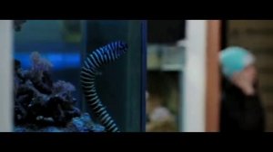 БУМЕРАНГ ДОБРА 2014 короткометражный фильм