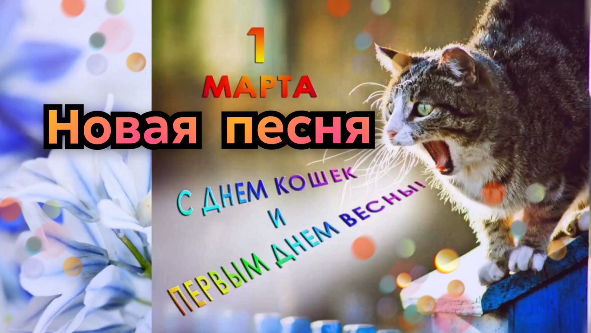 С ДНЁМ КОШЕК! 1 марта день кошек в России!