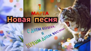 С ДНЁМ КОШЕК! 1 марта день кошек в России!