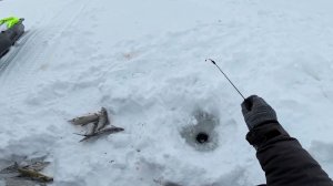 Спонтанная рыбалка👍🏻