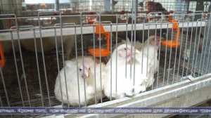 27.02.2026 Дайджест