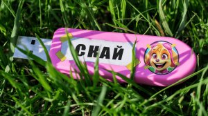 😳 Я НАШЛА USB ФЛЕШКУ СКАЙ ЩЕНЯЧИЙ ПАТРУЛЬ В МАЙНКРАФТ! НОВАЯ СЕРИЯ МУЛЬТИК