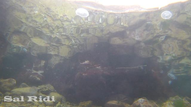 Зимнее Чёрное море