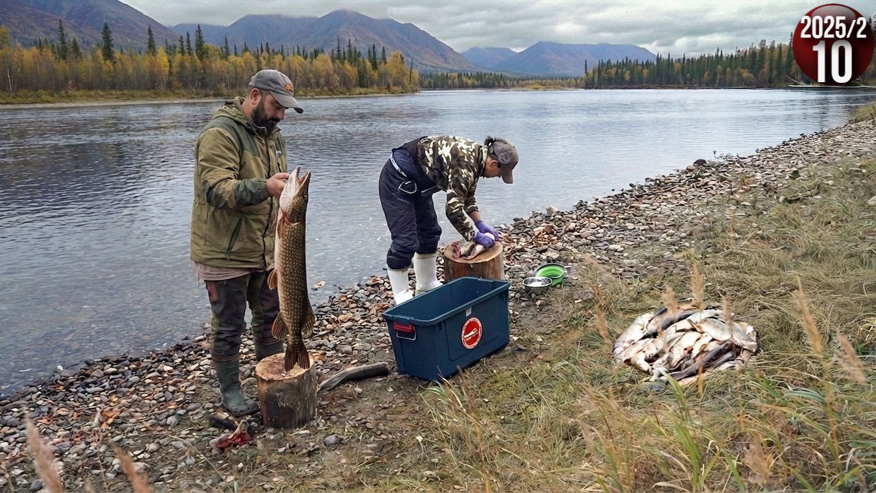 Изба на берегу горной реки . Щука на каждый заброс. Как живут люди в тайге. Обычная жизнь. 10с
