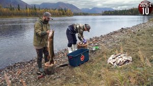 Изба на берегу горной реки . Щука на каждый заброс. Как живут люди в тайге. Обычная жизнь. 10с