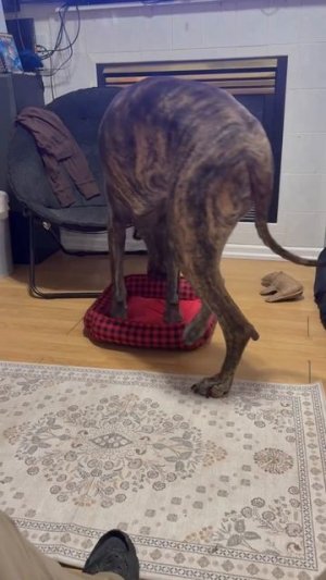 Как же в нее лечь?