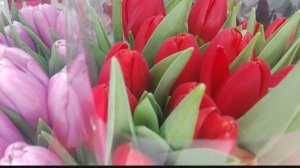 КОММЕНТАРИИ 💯ЗАЧИТЫВАЮ🤔.АНАЛИЗИРУЮ😌.ВЫТАЩИТЬ ЧЕЛОВЕЧЕСКОЕ☝️"НУТРО"🫤 🤦НЕ ВСЕГДА Н-ДА.⚡