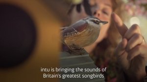 unpopular-175_1920x1080_25_yuv420p