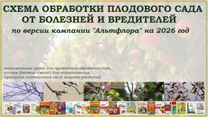 Схема обработки плодового сада от болезней и вредителей. Чем и когда опрыскивать плодовые деревья?