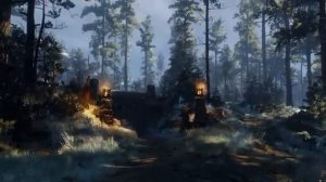 The Witcher 3 Skellige Isles  Relaxing Music & Ambience