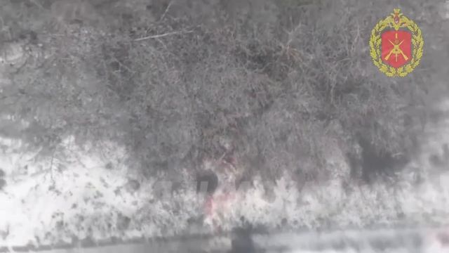 🇷🇺Бойцы Группы Феникс продолжают выполнять поставленные задачи в районе Никифоровки