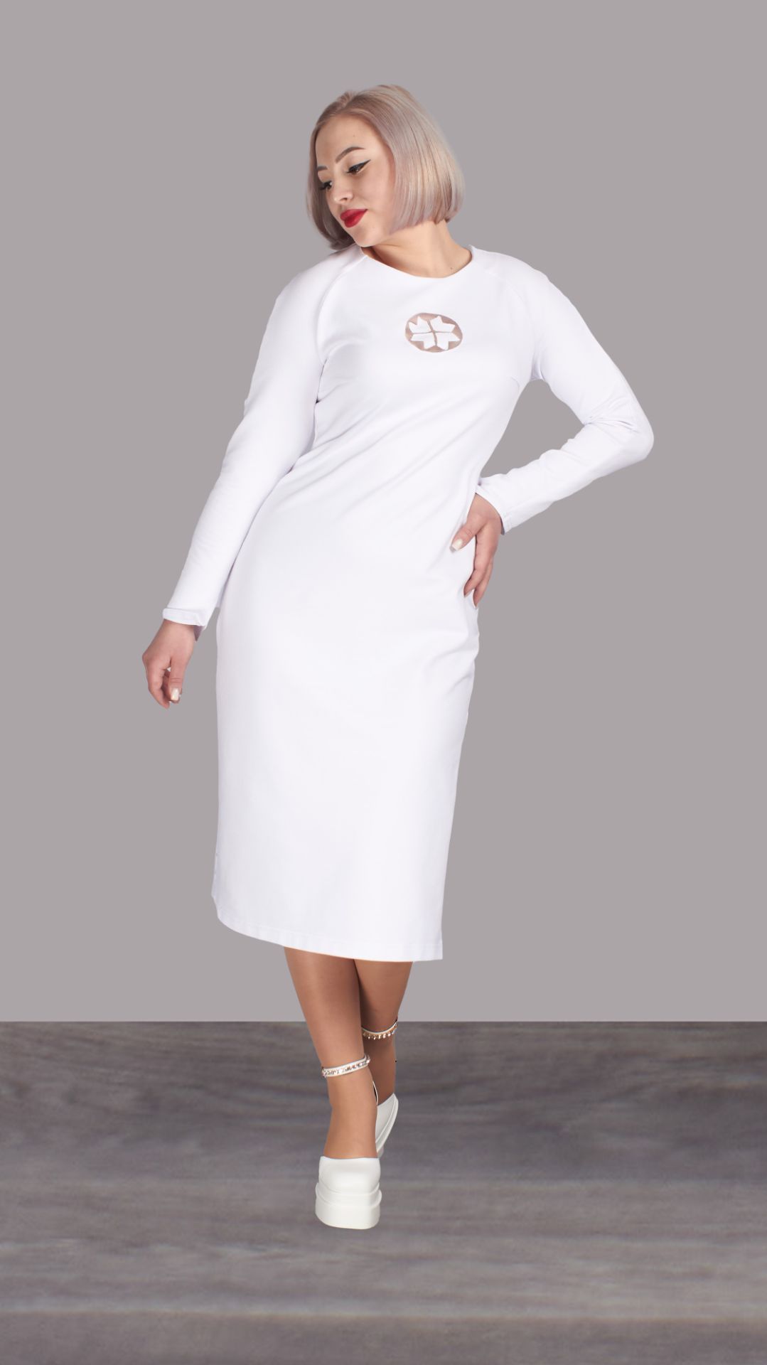 модель 2/4/1 модель 2/4/1