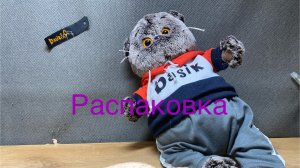 РАСПАКОВКА! ЕДА ДЛЯ БАСИКОВ!