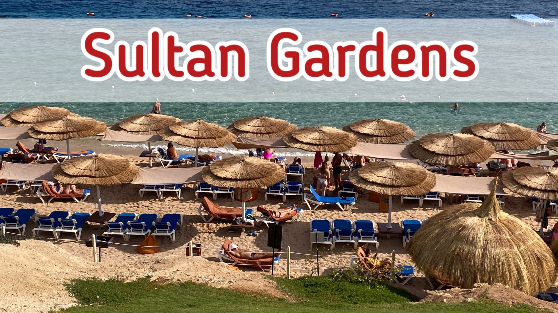 Обзор Sultan Gardens, Египет, Шарм-Эль-Шейх, Шаркс Бэй