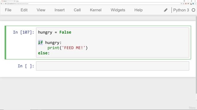 34 - If Elif and Else Statements in Python смотреть онлайн