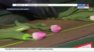 ВЕСТИ КРЫМ: выпуск 27.02.2026 17:30