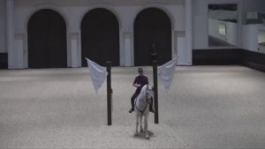 🇦🇪🐎В Абу-Даби отпраздновали наступление Года лошади конным балетом