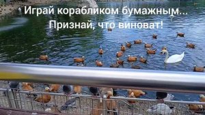 Не как все. Стихотворение