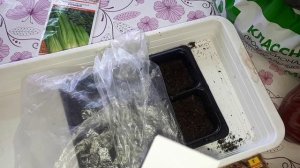 27-02-2026,посев цветов