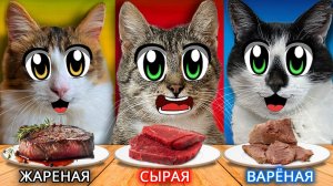 Челлендж: Сырая vs Вареная vs Жареная Еда — Что ВЫБЕРЕТ КОТ?