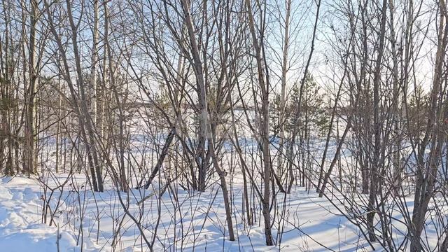 90000401 Черемушки