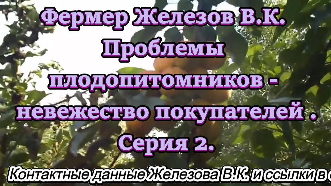 Фермер Железов В.К. Проблемы плодопитомников - невежество покупателей. Серия 2. смотреть онлайн