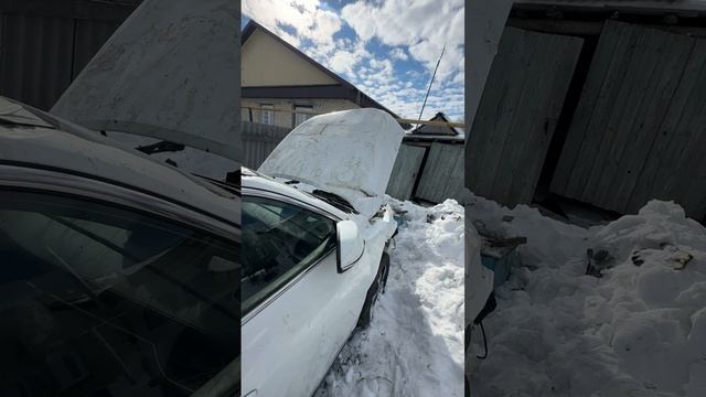 146725974_456239813 смотреть онлайн