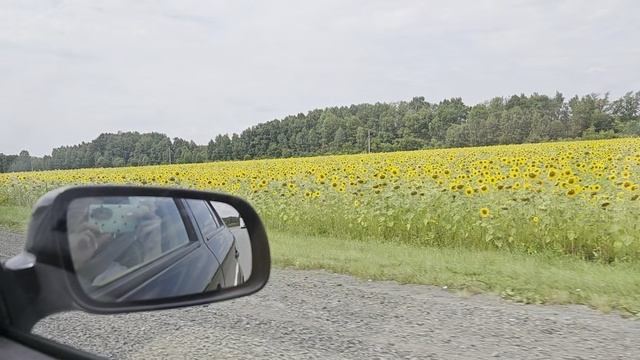 Самарская и Саратовская область