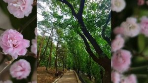 Учись прощать.