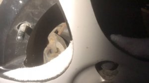 Мопеды сериал | Серия 1748