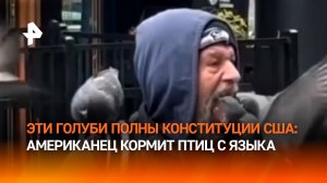 Голубиный “поцелуй”: американец кормил голубей с собственного языка