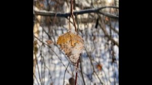 Зимняя сказка