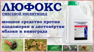Люфокс - мощное средство от плодожорки и листовёртки на яблоне и винограде. Обзор инсектицида