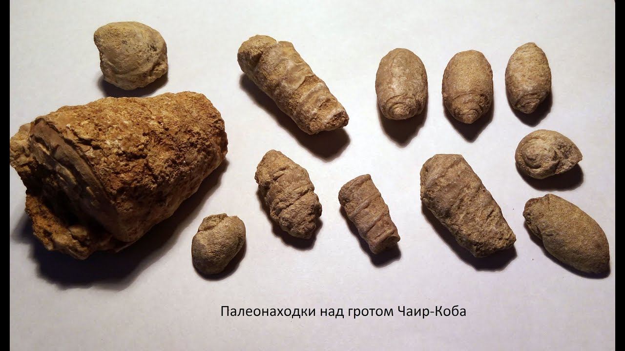 Окаменелости над гротом Чаир-Коба