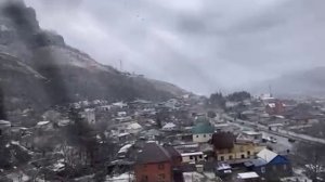 79388912358__41B9721C-EC73-406F-B8B1-FA7D95A47D65