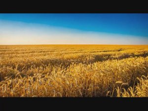 Русское поле