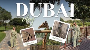 DUBAI VLOG | Сафари парк | Гайд по метро Дубая | Музей будущего | обзор Day to Day и Carrefour |