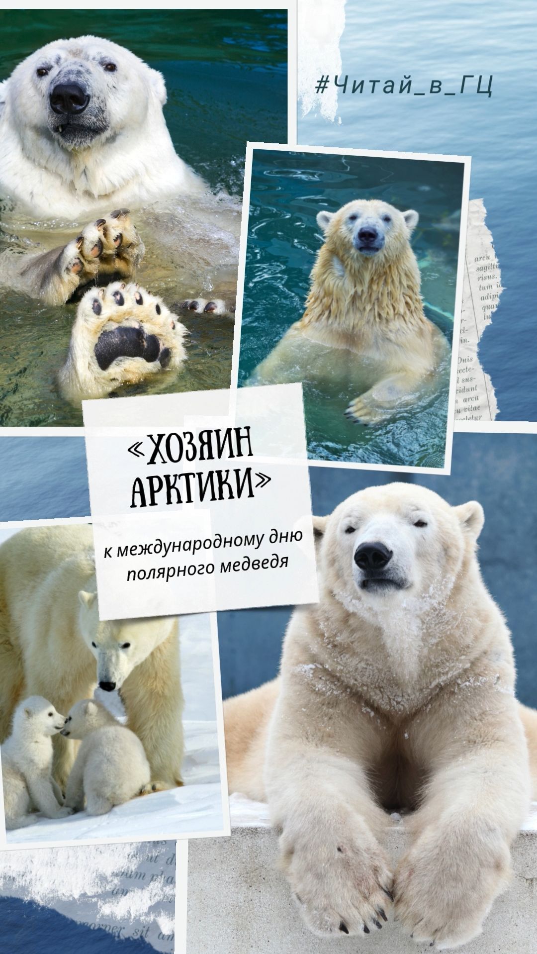 Хозяин Арктики