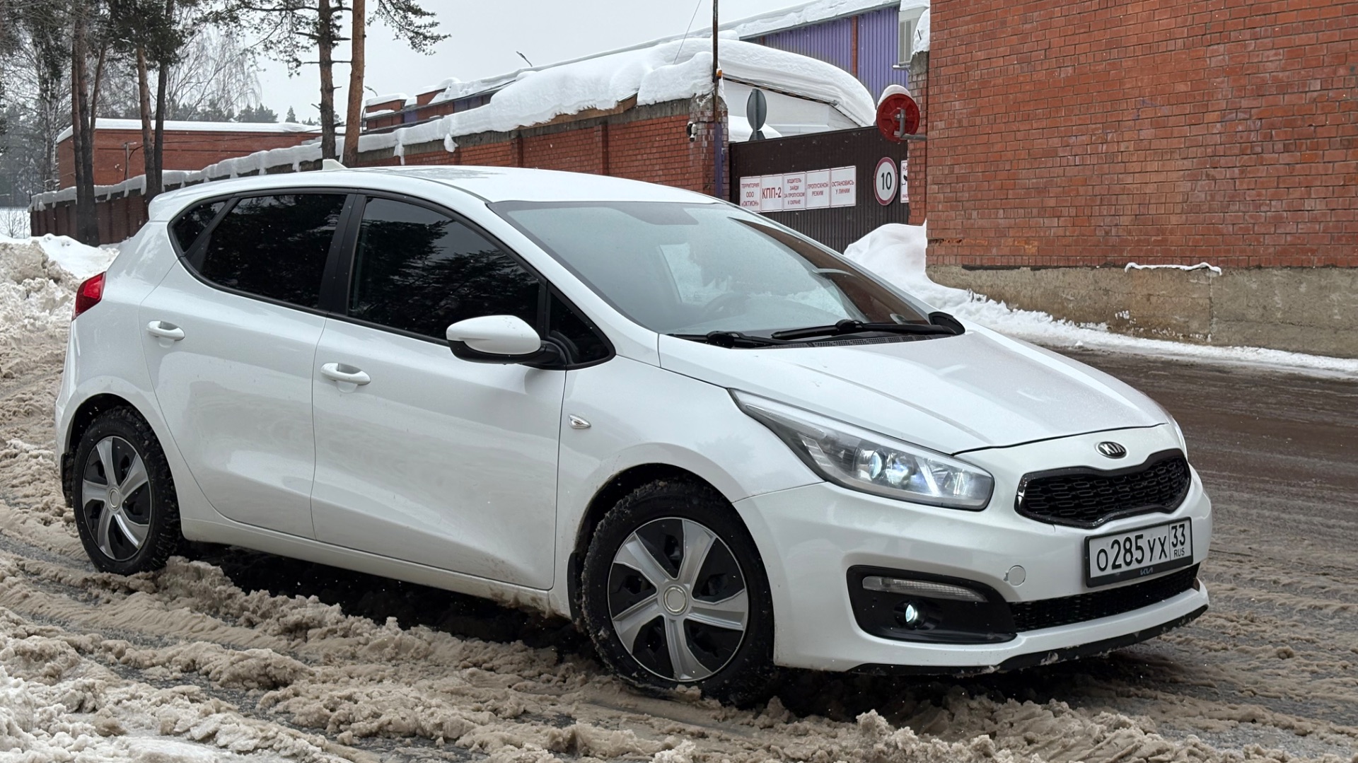 IMG_0495 смотреть онлайн