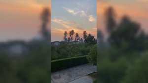 Тайланд.Щебечет птица на рассвете.