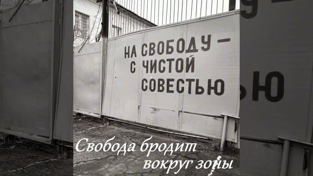 Свобода бродит вокруг зоны... — Видео от Garik Garik (автор песен) смотреть онлайн