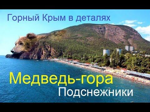 Крымская весна. Аю-Даг. Цветы под облаками