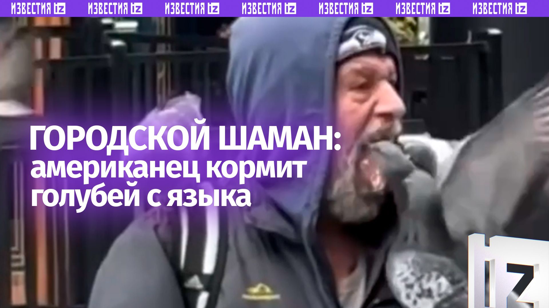 Американская мечта: странный способ кормления птиц выбрал житель США. Осторожно, неприятное видео смотреть онлайн