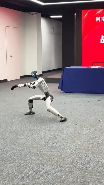 Робот показывает Кунг-фу